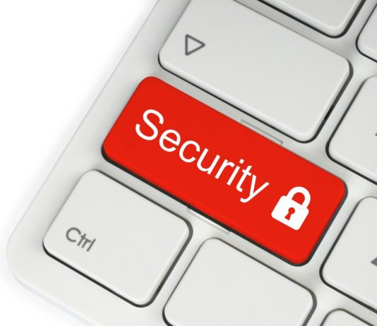 Internautas más descuidados en protección de datos Internautas más descuidados en protección de datos