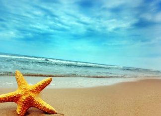 ¿Cuáles son los mejores destinos turísticos?