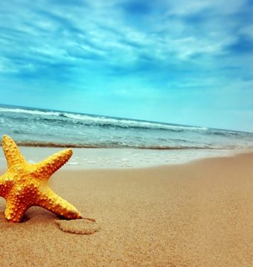 ¿Cuáles son los mejores destinos turísticos?