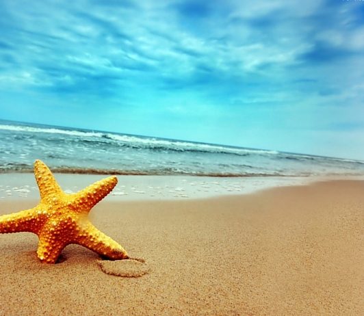 ¿Cuáles son los mejores destinos turísticos?