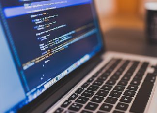 Chatbots en la red