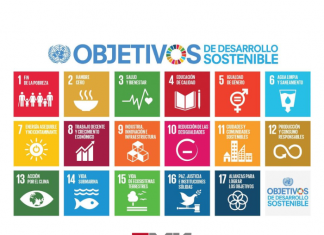 Los Objetivos de Desarrollo Sostenible cumplen una década pero aún están lejos de sus metas ODS