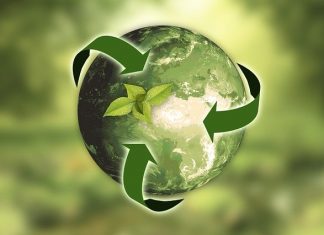 5 claves para convertirse en una oficina Eco-Friendly