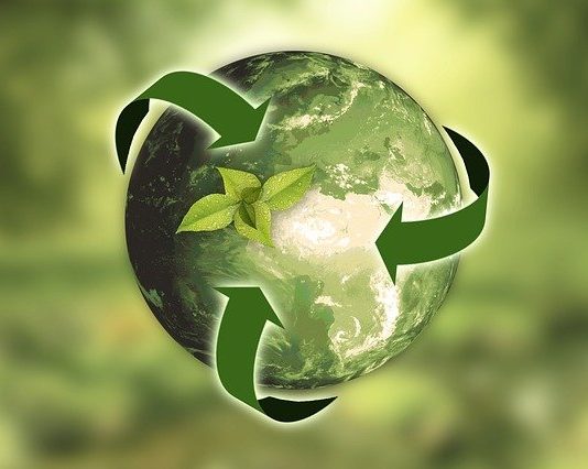 5 claves para convertirse en una oficina Eco-Friendly