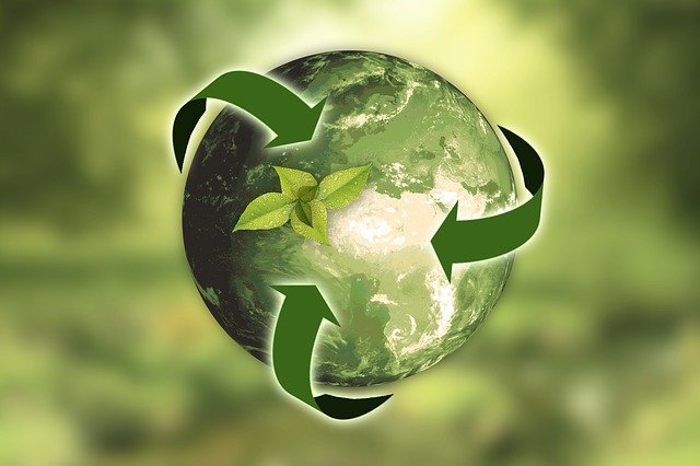 5 claves para convertirse en una oficina Eco-Friendly
