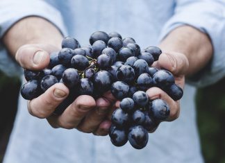 consumo de vino EAE