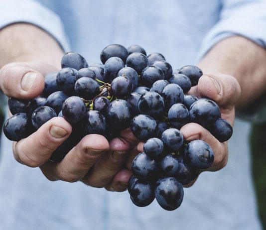 consumo de vino EAE