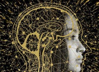 inteligencia emocional