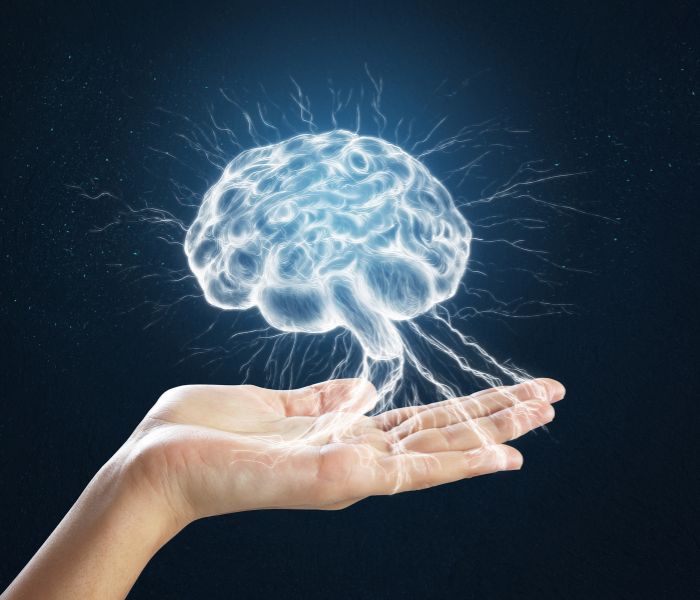 Los 2 sistemas cerebrales que controlan tus impulsos y cómo el marketing va a beneficiarse de ello
