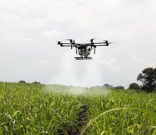 La Tecnología al servicio del Marketing en el sector Agroalimentario sector agroalimentario dron